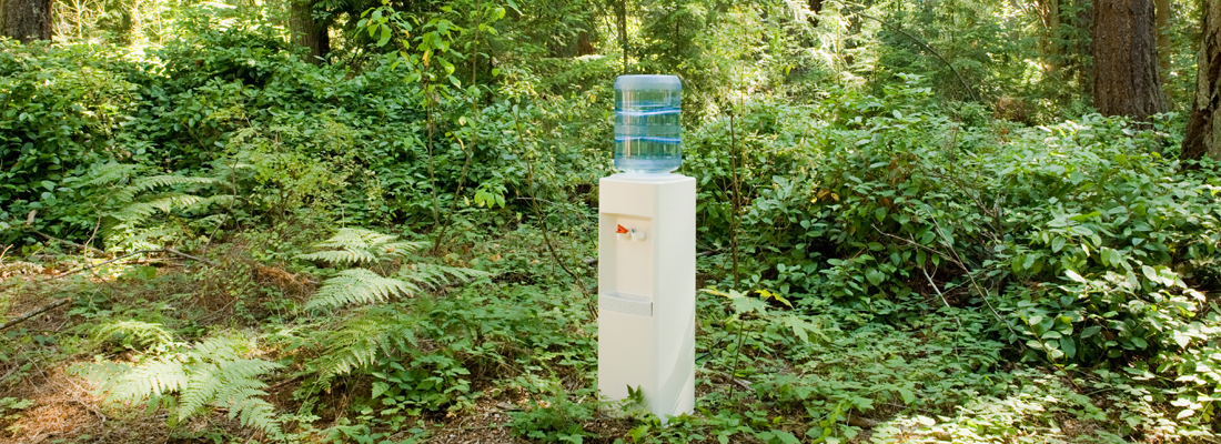 Distributeur d'eau au milieu d'une forêt